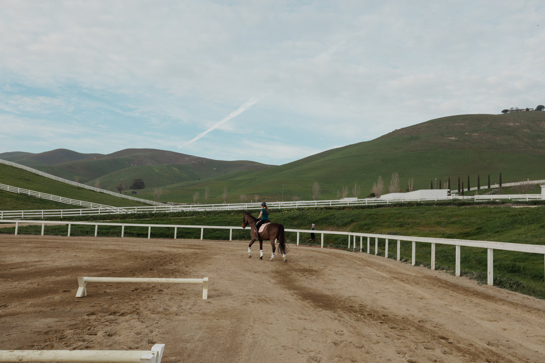 Joanna Thurman-Baker’s dressage blog: ‘I have a newfound cowgirl state of mind’