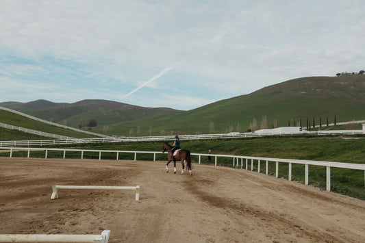 Joanna Thurman-Baker’s dressage blog: ‘I have a newfound cowgirl state of mind’