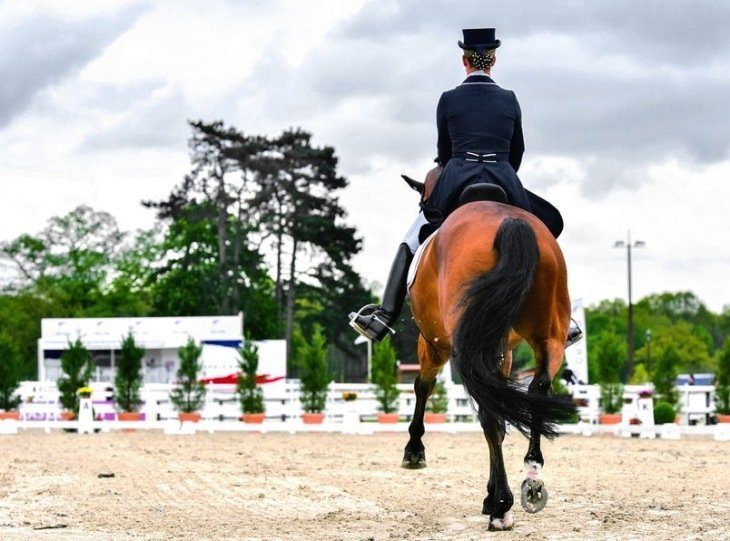 How to Improve Your Sitting Trot Ability