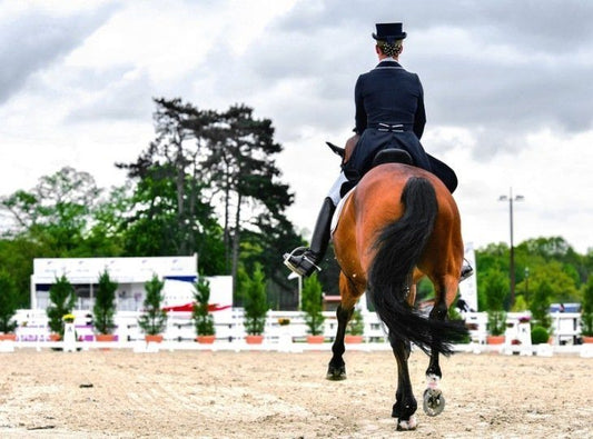 How to Improve Your Sitting Trot Ability