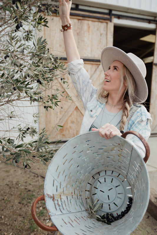 Where to Buy Fresh Cut Olive Tree Branches + Greenery