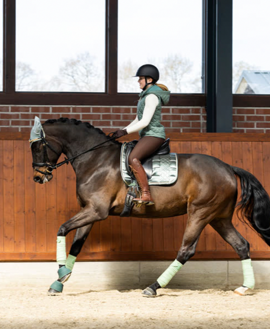 Willow and Wolf Ranch horseback riding lessons