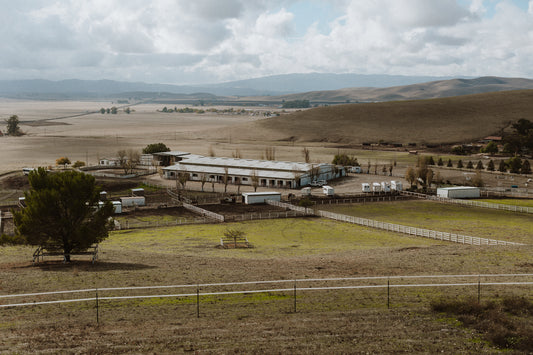 Best Equine Horse Fencing