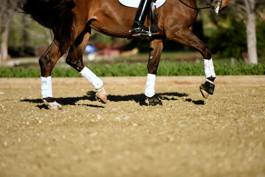 Arena Footing 101 Dressage Footing Ideas