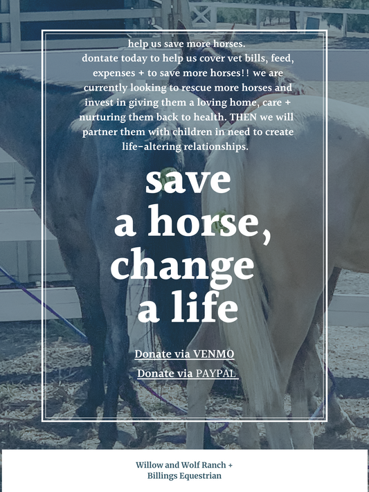 Bay area horse rescue to help kids