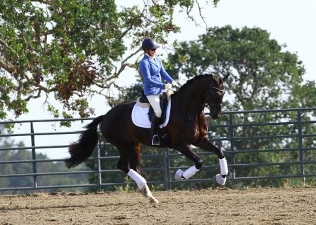 Kelly Casey and Emilion SA Off to a Great Start