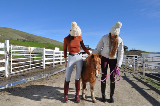 How Much do Mini Horses Cost?