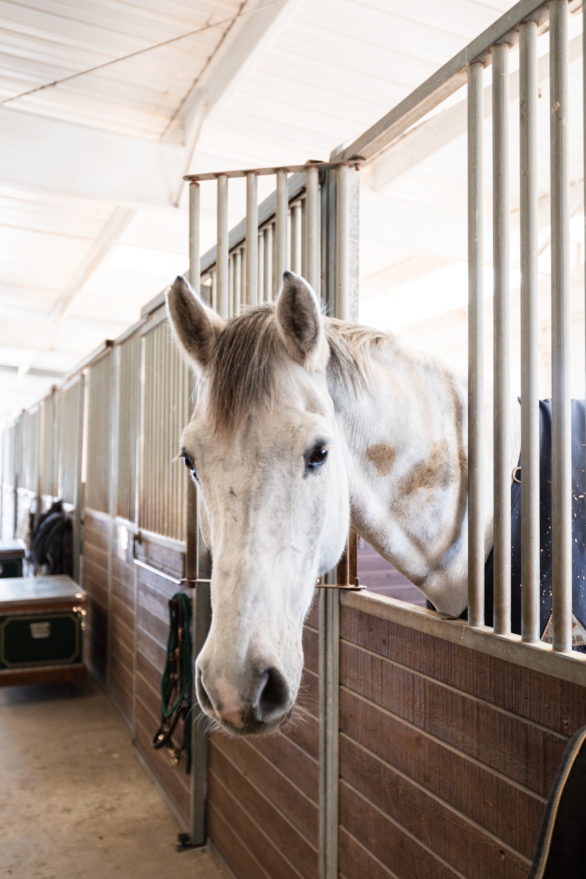 Barn Boarding