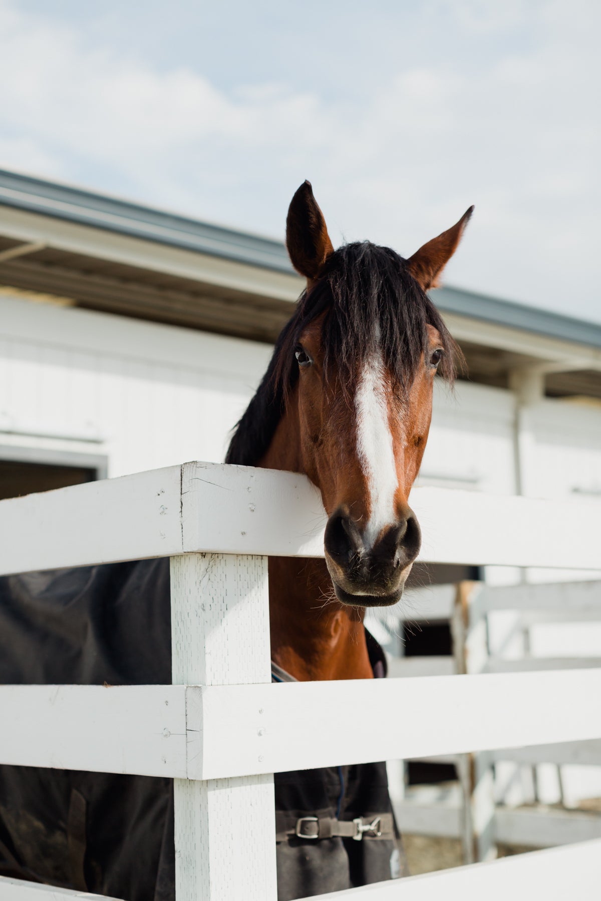 Barn Boarding