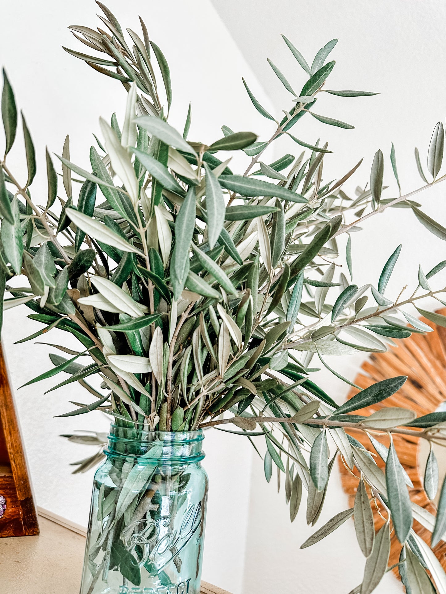 Fresh Olive Branch Stems