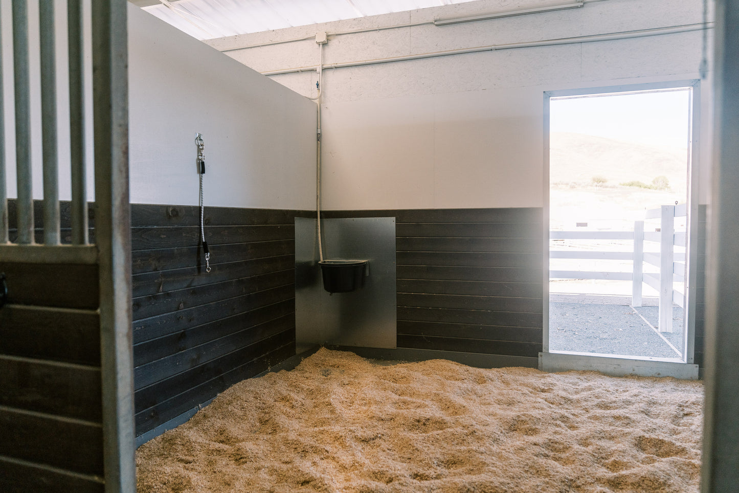 Additional Shavings