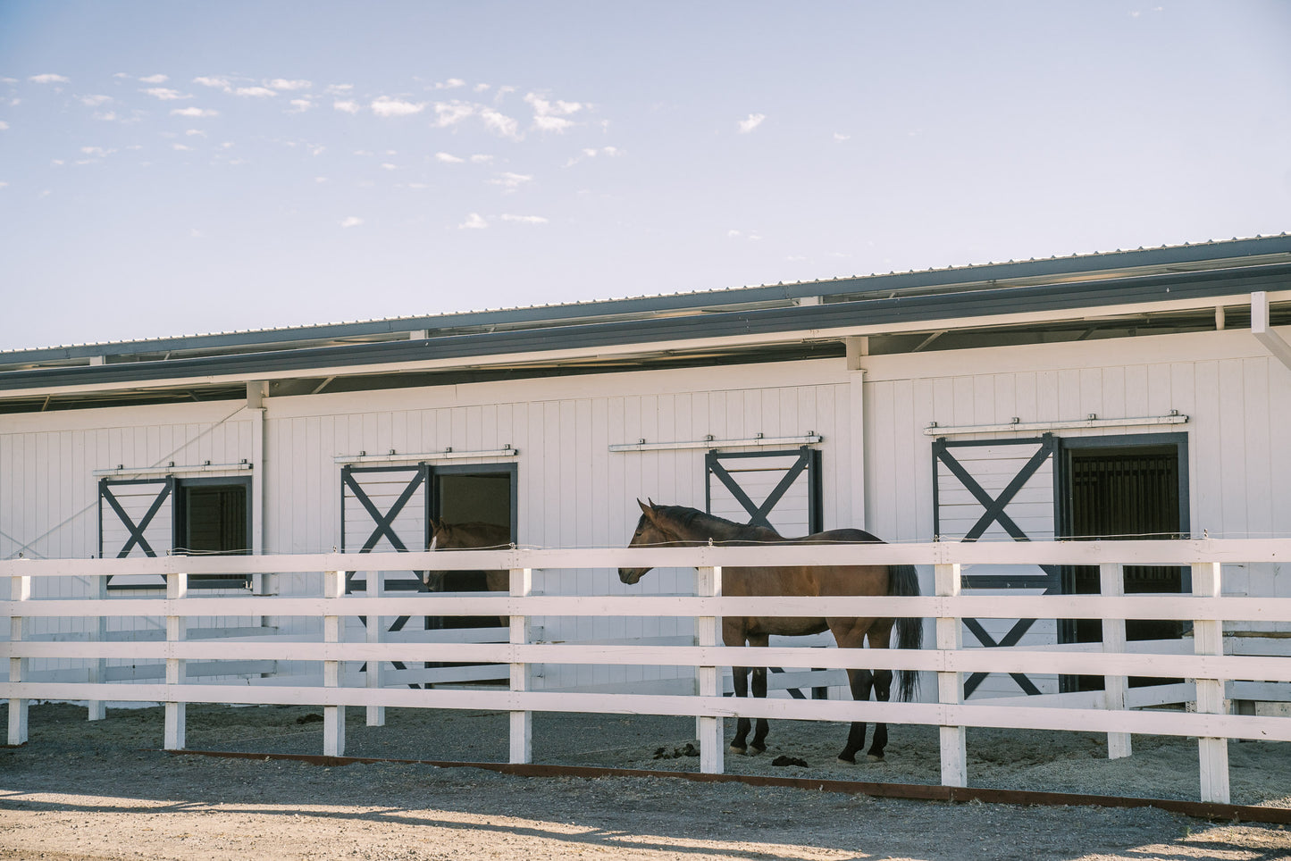 Barn Boarding