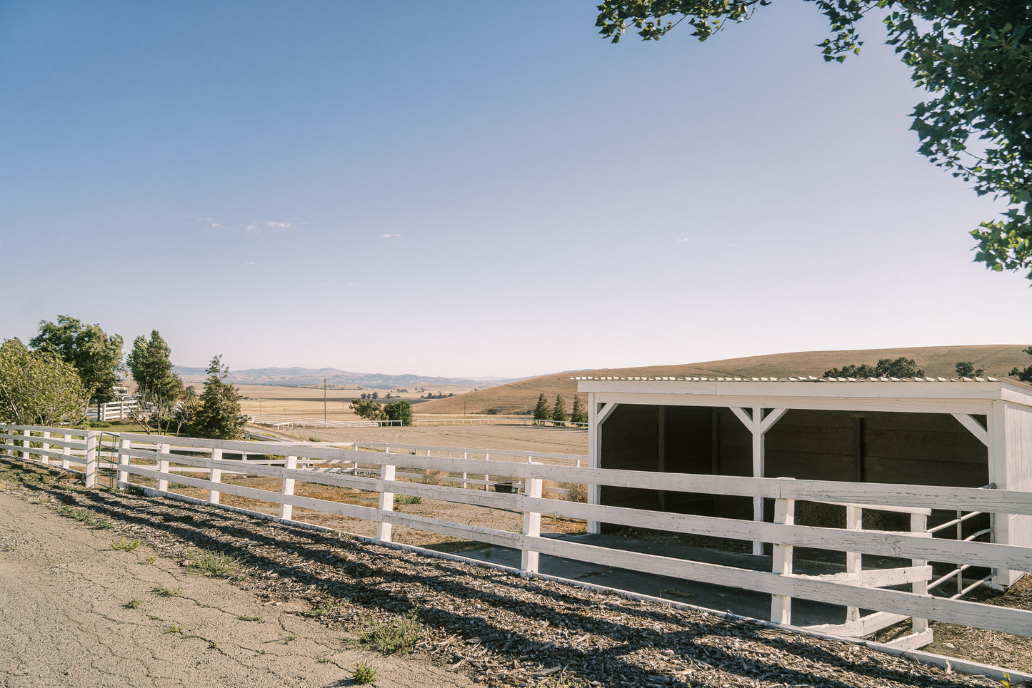 Barn Boarding