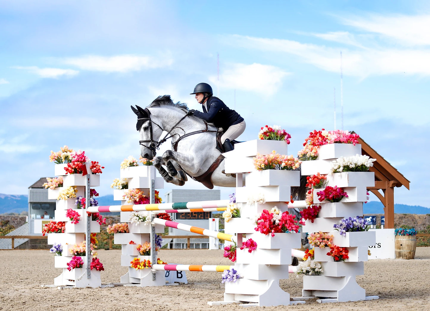 Hunter jumper competitive training barn in the bay area
