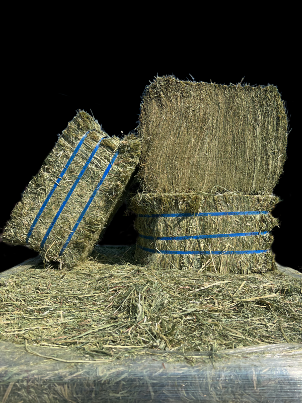 Hay! Additional Feed