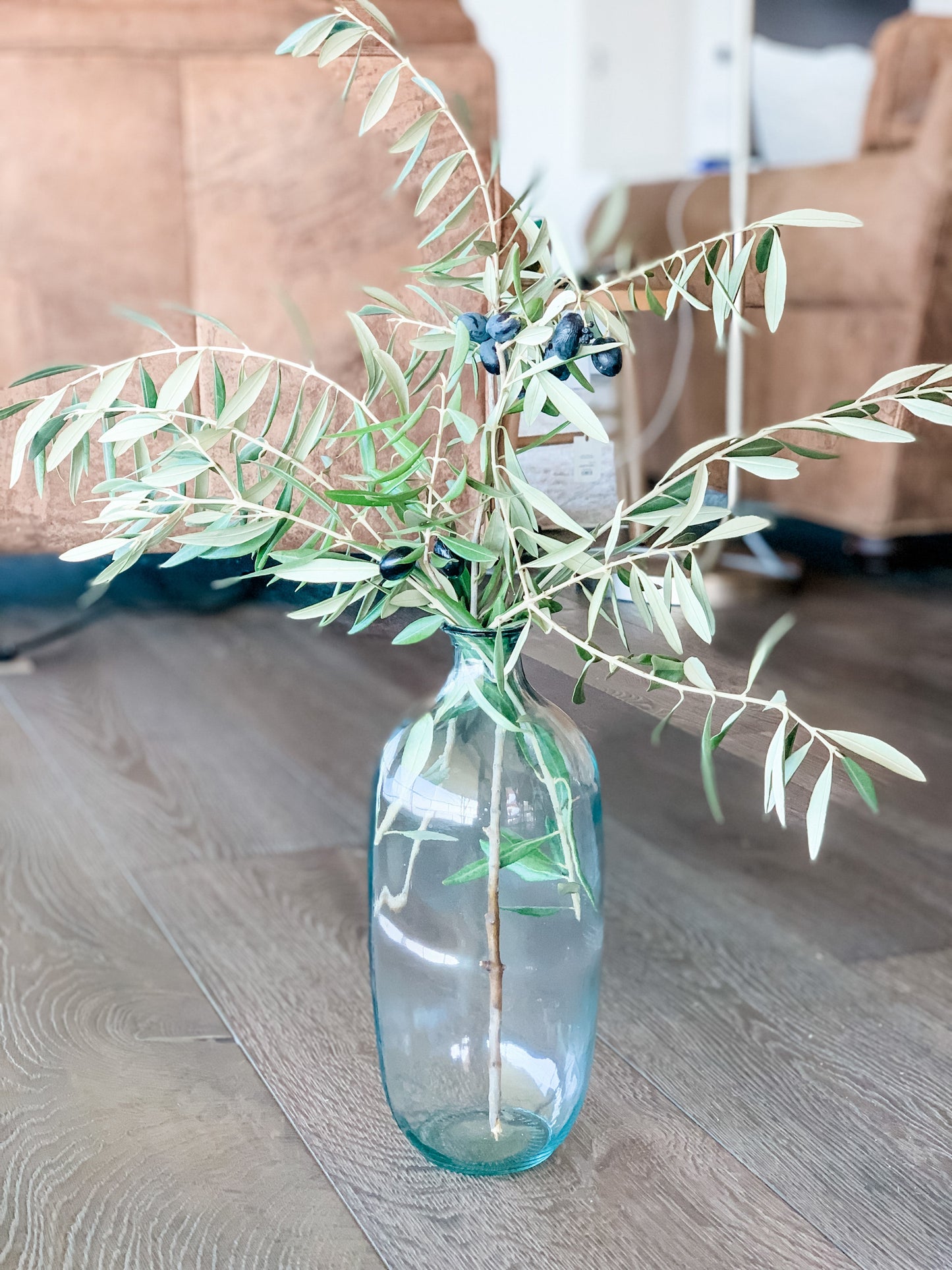 Fresh Olive Tree Branches