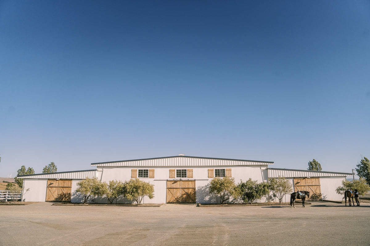Where to Board My Horse in the Bay Area – Willow and Wolf Ranch
