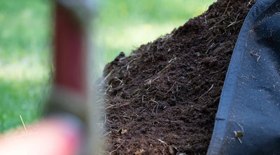 How to Buy Compost + Where to Buy Compost?