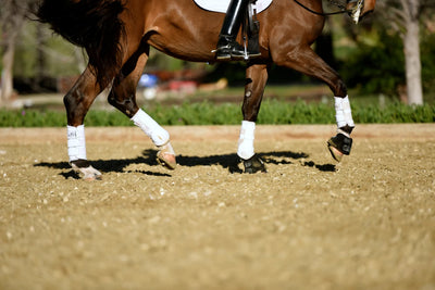 Arena Footing 101 Dressage Footing Ideas