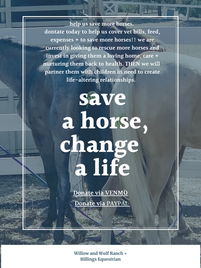 Make a Difference: Donate to Willow and Wolf Ranch Rescue for Equine Welfare