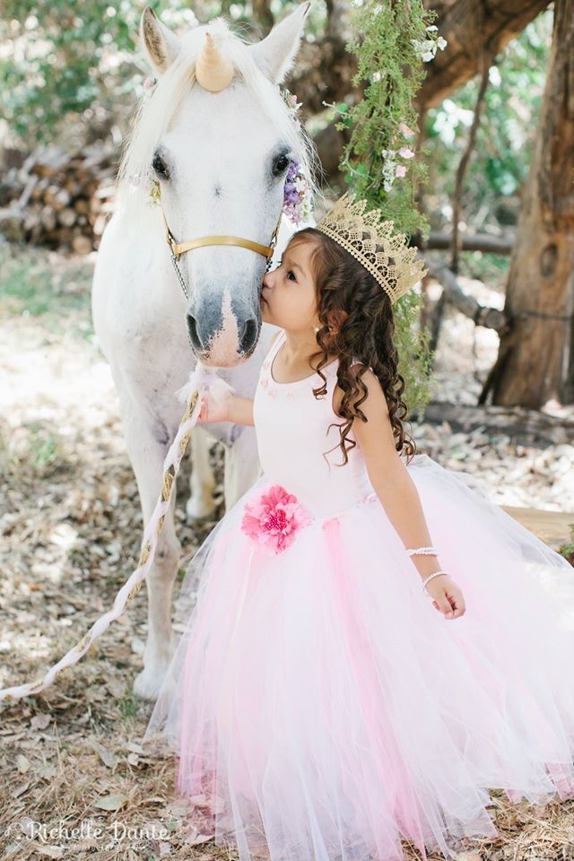 Unicorn Photoshoot Experience - Pictures with a REAL Unicorn Livermore, CA