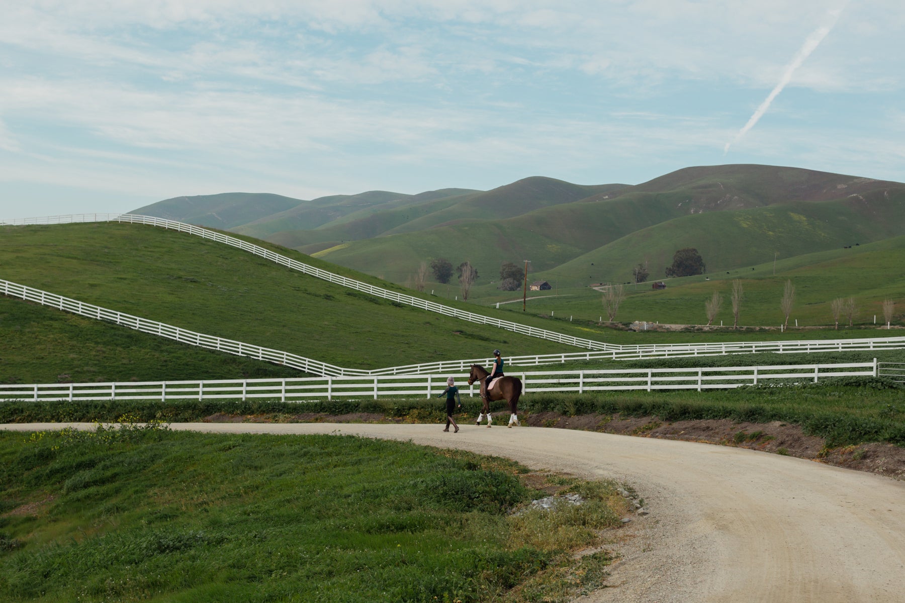 Horse boarding in Livermore CA retirement pastures