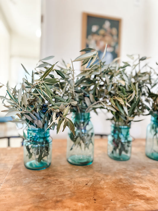 fresh cut olive branches for sale