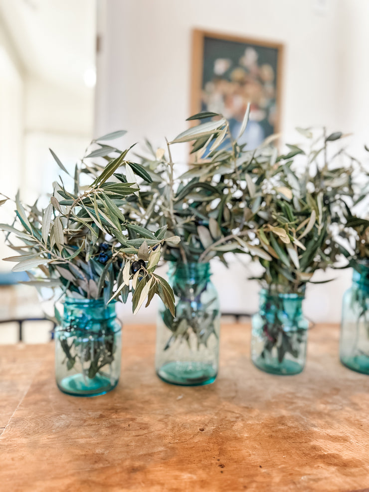 Fresh olive branches, Per bunch of 400 grams, Length 65 centimetres 