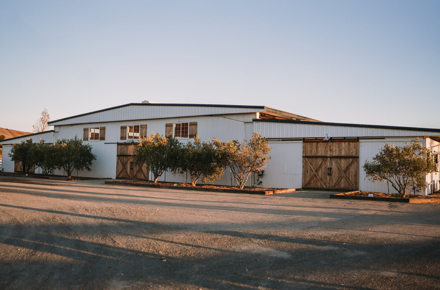 Willow and Wolf Ranch | Horse Retirement Farm