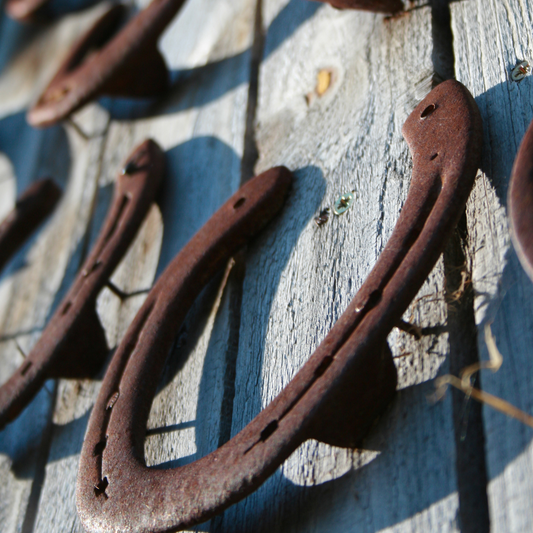 Real Horseshoes, Rustic Horse Shoes