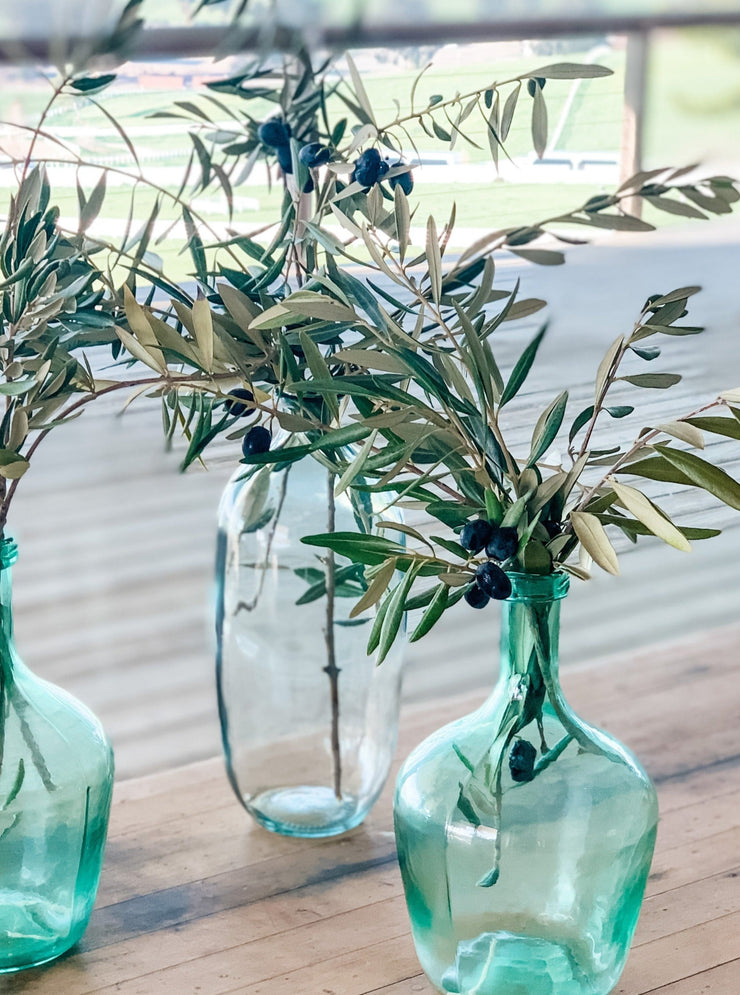 Fresh Olive Branch Greenery Bunches